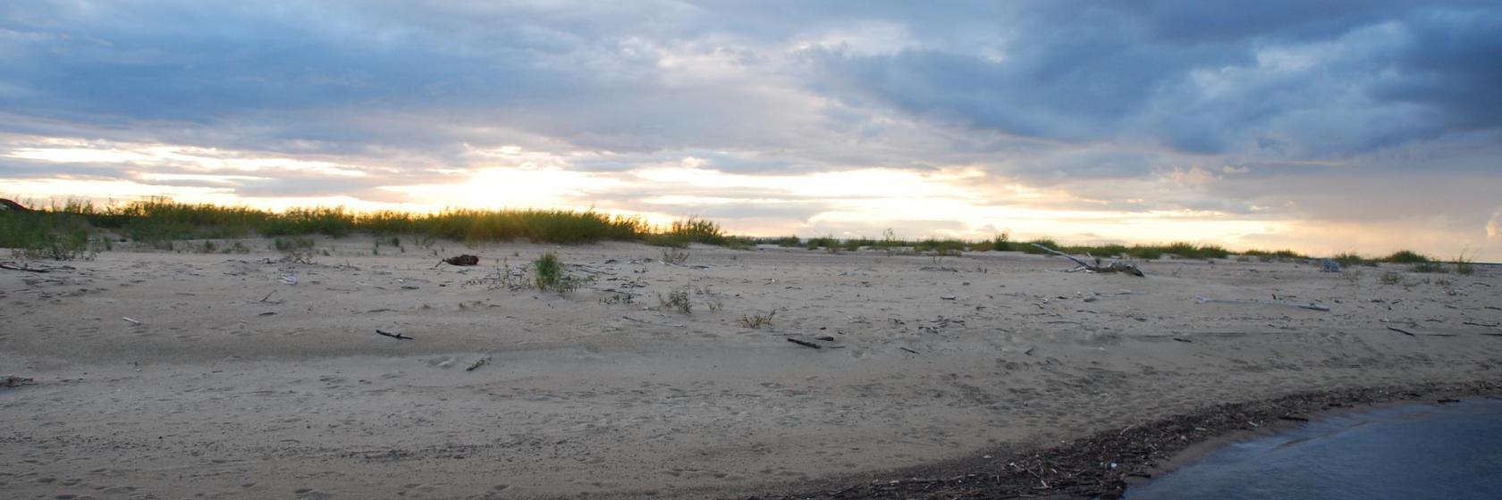 Rezerwat przyrody Mewia Łacha